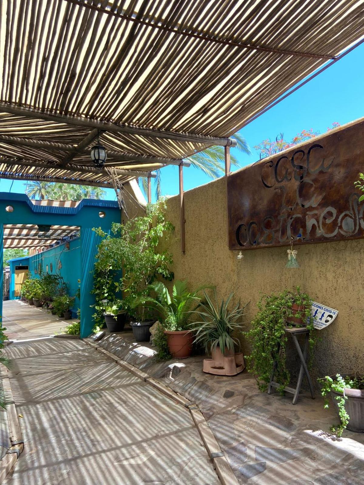 فندق Casa La Castaneda لوريتو المظهر الخارجي الصورة