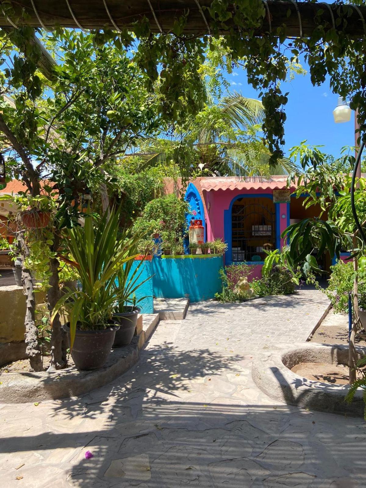 فندق Casa La Castaneda لوريتو المظهر الخارجي الصورة